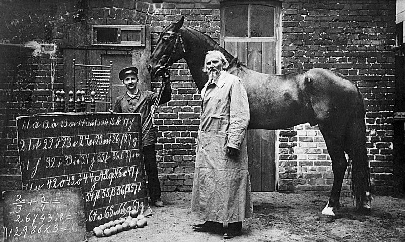 Älterer Mann mit Bart und einem großen Pferd vor einer mit altdeutscher Schreibschrift beschriebenen Kreidetafel; Schwarzweiß-Foto: Wilhelm von Osten und der Kluge Hans 1908