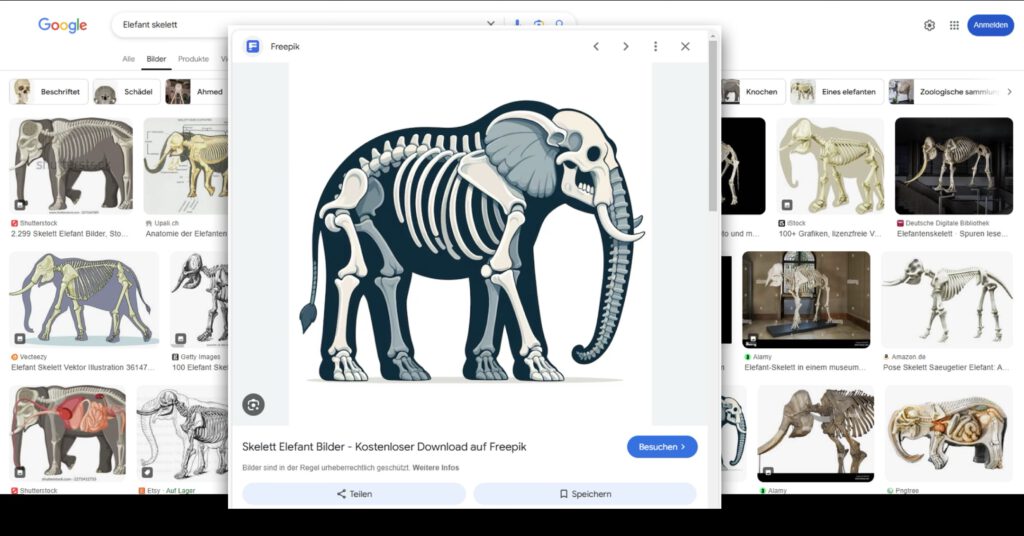 Google-Suchtreffer zu Elefanten, darunter ein Bild von einer kostenlosen Bilddatenbank